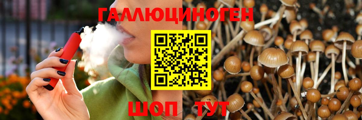 Ессентуки  Галлюциногенные грибы Psilocybine cubensis  Вход с VPN 